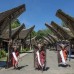 Open Trip Toraja Spesial Lembah Ollon 4D3N