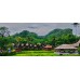 Open Trip Toraja Spesial Lembah Ollon 4D3N