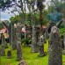 Open Trip Toraja Spesial Lembah Ollon 4D3N