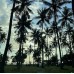 Tour Lombok  4D3N (Paket A)