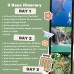 Whaleshark Sumbawa Tour 3h2m (Moyo Island)