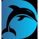 Dolphin Snorkling Tour 
