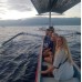 Dolphin Snorkling Tour 