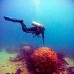 Paket Diving  Pulau Padaido 3H2M