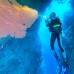 Paket Diving  Pulau Padaido 3H2M