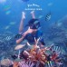 Karimun Jawa Trip Regular 3H2M
